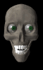 talking skull