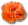 poppy